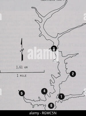 . Bulletin. Natural History; Natural History. 12.08.1981 Webb: benthische Makroinvertebraten 361 In der Anzeige der Verteilungsmuster der benthischen Makroinvertebraten in See samphng Sangchris, die Effizienz der Ekman greifen auf Hardpan Lehm und Sand zu berücksichtigen. Für Proben, die entlang der Küste unternommen, um die Backen des Greifers wurden von Hand geschlossen, um zu gewährleisten, dass die Fläche durch die Haltegriffe sauber Abgekratzt war. In die Entnahme von Proben aus einer Tiefe von 2-4 m, nur die Proben, in denen die Klauen der Greifer vollständig geschlossen wurden, waren für die Sortierung und Zählung beibehalten. Die Wirkung von h Stockfoto