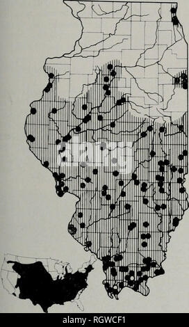 . Bulletin. Natural History; Natural History. November, 1961 Smith: Amphibien und Reptilien der Illinois 77 Gewohnheiten. - Fowlers Kröte ist einer der auffälligsten Amphibien in der südlichen Hälfte von Illinois und es ist reichlich in fast allen geeignete Lebensräume. Es kann Tag und Nacht angetroffen werden; während der heißesten Teil der Sommer ist es weniger häufig gefunden bei. Abb. 64.- Verteilung von Bufo icoodhotisei. Schlupf an der vermuteten Bereich der Unterarten foivleri in Illinois; feste Kreise zeigen Orte, die Proben während dieser Studie untersuchte vertreten; offene Kreise, Städte und Gemeinden Stockfoto