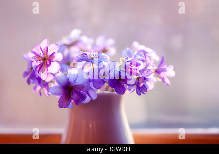 Blumenstrauß aus zarten Frühlingsblumen. Schönen Blumenstrauß. Frischen Frühlingsblumen. Stockfoto