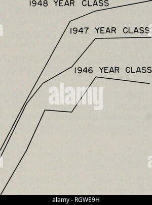. Bulletin. Natural History; Natural History. August, 1957 Larimore: Leben Geschichte der Warmouth 59 jedes Jahr des Lebens und für jedes Kalenderjahr, Tabelle 23. Prozentsätze der erwarteten Wachstum in ausgewählten Kalender jahre kann Tabelle 23 in der diagonale Reihen von links unten nach rechts oben gelesen werden. Die Prozentsätze der Ex-erwartet Wachstum im Kalenderjahr, wenn der Durchschnitt berechnet, zeigen deutlich die Schwankungen in den jährlichen Wachstum, Tabelle 24. Tatsächliche Länge Schritten überschritten die erwarteten Erhöhungen der nur 1945 und 1946, Tabelle 24. Schlechtes Wachstum in 1942 und 1943 kann zu schweren Überschwemmungen, die die w verursacht worden Stockfoto