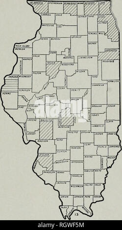 . Bulletin. Natural History; Natural History. Bäume von Illinois 47 Populus tremuloides Michaux Aspen Beben Asp Das Aspen ist ein kleiner Baum, mit einem schmalen, offen, ronnd - erstklassige Krone aus schlanken, bis geneigte Zweige, die Statik an den Spitzen. Die dünnen, tirm. glatte, glänzende Blätter sind breit eiförmig und haben einen starken Punkt und einem abgerundeten Basis. Die Margen sind fein und regelmäßig Zahnriemen und die blattstiele sind stark abgeflacht. Die zylindrischen, behaarte Palmkätzchen, die ap-pear Ende März oder Anfang April, werden von 1^^" zu "ZjA Zoll lang, die staminate catkin gerötet durch die Pol-len-Beutel Stockfoto