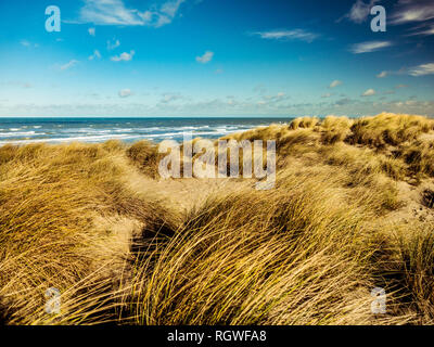 Atemberaubende Aussicht von Dünen mit marram Gras im Vordergrund auf der Nordsee an Bray-Dunes Stockfoto