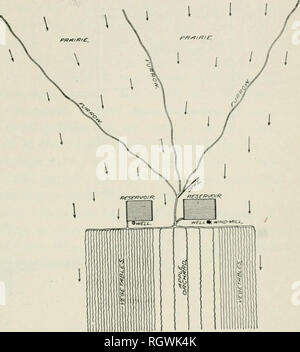 . Bulletin. 1901-13. Landwirtschaft Die Landwirtschaft. Obst auf den Ebenen. 65 überreichen Angebot für den Winter. Es sollte von einem Wind umgeben sein - Pause von Hardy Bäume. Ich möchte nun die drei Reihen von Hardy Bäume 8 Meter auseinander und Weg, wenn ich die Planung eines Gartens. Ich würde Rus-sian Maulbeere, Robinie, und wilden Russischen Olivenöl für das Tierheim Gürtel. Die schwarze Heuschrecken und wilden Olivenbäumen sind Zierpflanzen und der Russischen Mulberry trägt Früchte, was ist mit dem Vogel Freunde und Kinder akzeptabel. Die Arbeit in der Prüfung Obst Irees hat Pioneer nur Arbeit. Es wurde zeigen Stockfoto