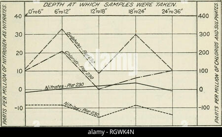 . Bulletin. 1901-13. Landwirtschaft Die Landwirtschaft. NITEIFYING POWEB der Böden in verschiedenen Tiefen. 17 Abbildungen 11 und 12 zeigen die Ergebnisse der Probenahmen, die von Erde von Plats 240, 250, 260 und 270. Die Bereiche, in denen diese plats sind AO 30 20 10 10 Tiefe^T WWC/:/S/) MP/. Â £ S Baureihe W?Â £ £/T/JH-E/V. XiroQ" 6 toI 2 ICH 2 toI 8 "18 bis 24" 24"/RJ 36 "i^jlphates;:, Plqt 22 V. , Tra Us-Plar 220-A/iWfeS' f/ar 220 400 Â" 300 I200^ (00 â 100 Abb. 9. âDiagram zeigt die Nitrifikation von Ammoniumsulfat in Proben von Boden aus unterschiedlichen Tiefen von Plat 220, Truckee-Carson Experiment Farm. Original Stockfoto