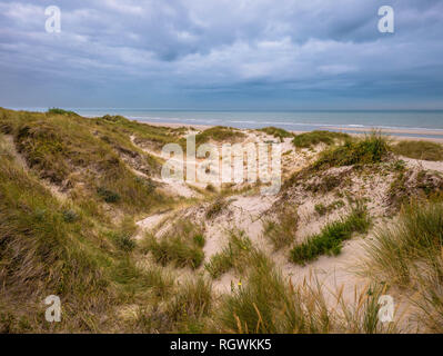 Dünen mit Gras marram am Strand mit Blick auf die Nordsee. Stockfoto