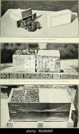 . Bulletin. 1901-13. Landwirtschaft Die Landwirtschaft. Bui. 108, Büro der Anlage Industrie, US, Oept. von Agriculturi. Bitte beachten Sie, dass diese Bilder sind von der gescannten Seite Bilder, die digital für die Lesbarkeit verbessert haben mögen - Färbung und Aussehen dieser Abbildungen können nicht perfekt dem Original ähneln. extrahiert. In den Vereinigten Staaten. Büro der Kraftwerksindustrie, Böden, und Landtechnik. Washington Govt. Drucken. Ausschalten Stockfoto