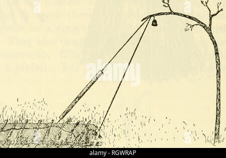 . Bulletin. Ethnologie. 260 INDIOS [B. A. B. Bull. 143 getötet mit einer Harpune mit einem Holz- oder Knochen Kopf {Mhayd und Mocovi gekippt). Otter sind mit Hunden verfolgt und zum Tode mit Stöcken geschlagen. Jäger tragen Jagd Charme in Riemen oder in kleinen Beutel genäht. Die magic Bundle für den Fang von nandus ist der Vogel den Hals und enthält Gras, Blätter und andere Lebensmittel, die durch es gegessen. Die Pilagd malen sich schwarz, wenn die Jagd Nandus, glauben, dass die Vögel sie nicht erkennt. Die Inder reiben ihre Körper mit speziellen Pflanzen viel Glück zu versichern. Um festzustellen, eine Bindung zw. Stockfoto