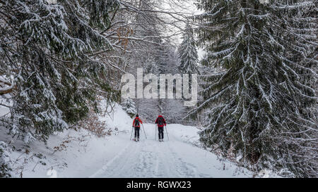 Paar Ski in den Wäldern in Poiana Brasov, Siebenbürgen, Rumänien Stockfoto