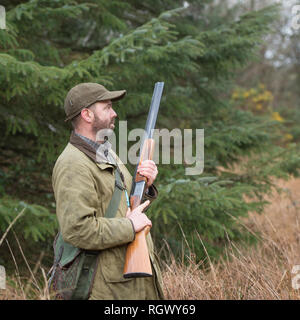 Mann mit der Schrotflinte auf einem Fasan schießen Stockfoto