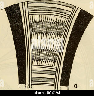 . Bulletin. Ethnologie. Ladd] PARITA UND SANTA MARIA ARCHÄOLOGIE, PANAMA 101. Bitte beachten Sie, dass diese Bilder sind von der gescannten Seite Bilder, die digital für die Lesbarkeit verbessert haben mögen - Färbung und Aussehen dieser Abbildungen können nicht perfekt dem Original ähneln. extrahiert. Smithsonian Institution. Büro der amerikanischen Ethnologie. Washington: G. S. O. Stockfoto