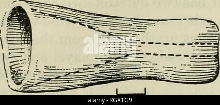 . Bulletin. Ethnologie. MEGGERS UND EVANS] ARCHÄOLOGIE AN DER MÜNDUNG DES AMAZONAS 197. Bitte beachten Sie, dass diese Bilder sind von der gescannten Seite Bilder, die digital für die Lesbarkeit verbessert haben mögen - Färbung und Aussehen dieser Abbildungen können nicht perfekt dem Original ähneln. extrahiert. Smithsonian Institution. Büro der amerikanischen Ethnologie. Washington: G. S. O. Stockfoto