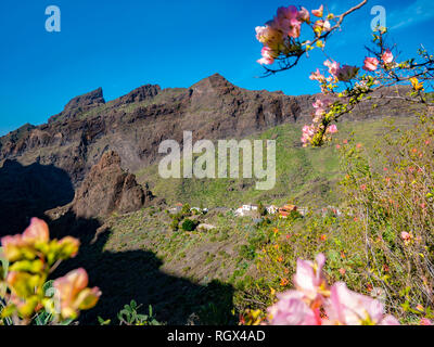 Schöne Landschaft über den berühmten masca Dorf von Blumen im Frühling Saison umgeben, in Teneriffa Stockfoto