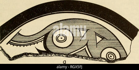 . Bulletin. Ethnologie. Ladd] PARITA UND SANTA MARIA ARCHÄOLOGIE, Panama 81. Bitte beachten Sie, dass diese Bilder sind von der gescannten Seite Bilder, die digital für die Lesbarkeit verbessert haben mögen - Färbung und Aussehen dieser Abbildungen können nicht perfekt dem Original ähneln. extrahiert. Smithsonian Institution. Büro der amerikanischen Ethnologie. Washington: G. S. O. Stockfoto