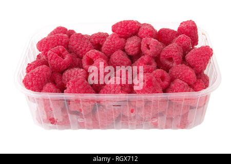 Frische Himbeeren in der Box aus Kunststoff mit weißem Hintergrund Stockfoto