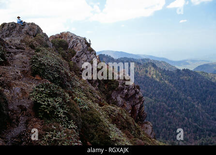 Charlies Bunion, Great Smoky Mountain National Park, Tennessee Stockfoto