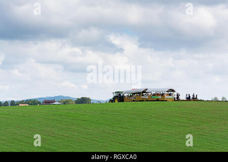 Blick auf Anseong Ackerland und Menschen besuchen Park im Sommer. Stockfoto