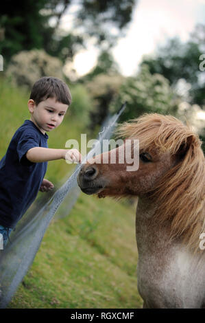 Junge mit kleinen Pony, Tasmanien, Australien Stockfoto