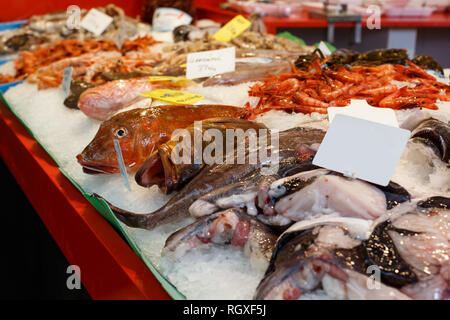 Vielzahl an raw Meer Fisch auf Eis auf Zähler auf Meeresfrüchte shop Stockfoto