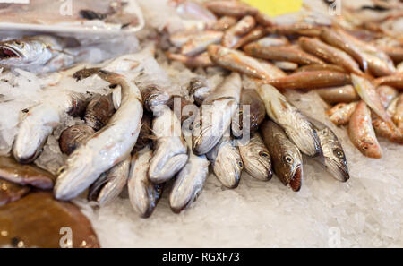 Verschiedene Fischprodukte auf Eis bereit zum Verkauf im Supermarkt Stockfoto