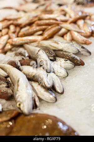 Vielzahl an raw Meer Fisch auf Eis auf Zähler auf Meeresfrüchte shop Stockfoto