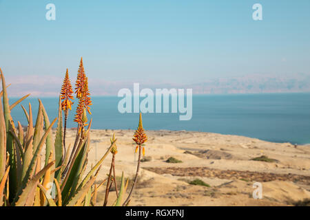 Toten Meer israelische Website. Blick von oben auf die West Bank im Osten. Über das Meer, die Küste von Jordanien Stockfoto