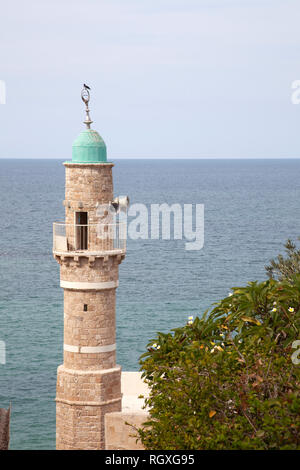 Al Bahr Moschee Minarett in Old Jaffa in Tel Aviv, Israel Stockfoto