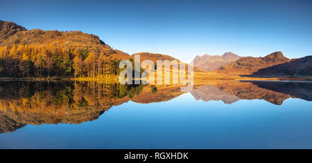 Eine späte herbstlich goldenen Panoramablick Sonnenaufgang am Blea Tarn, Spiegelbild, in dem Tarn auf die umliegende Bergwelt. Stockfoto