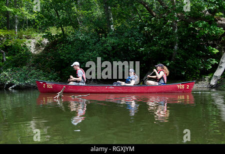 Drei junge Erwachsene in Familie Paddeln in einem Kanu auf dem königlichen Fluss in Yarmouth, Maine, Sommer, USA Stockfoto