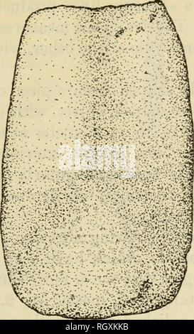 . Bulletin. Ethnologie. Evans und Meggers] ARCHÄOLOGIE IN Britisch-guayana 129. Bitte beachten Sie, dass diese Bilder sind von der gescannten Seite Bilder, die digital für die Lesbarkeit verbessert haben mögen - Färbung und Aussehen dieser Abbildungen können nicht perfekt dem Original ähneln. extrahiert. Smithsonian Institution. Büro der amerikanischen Ethnologie. Washington: G. S. O. Stockfoto