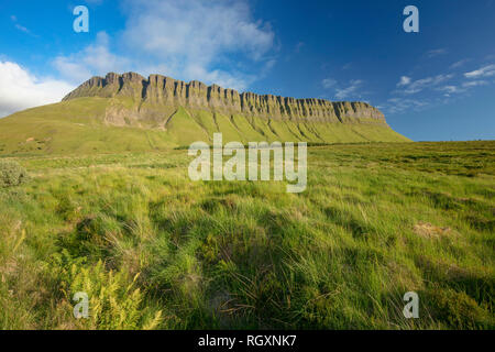 Offenes Grasland unter Benbulbin Berg, County Sligo, Irland. Stockfoto