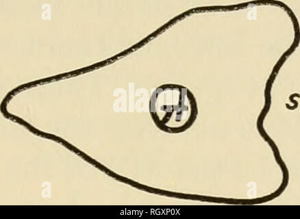 . Bulletin. Ethnologie. O'Beyan] die Speisen: ORIGrN Mythen von den Navajo Indianer 71 DIE GESCHICHTE VON DER ANKUNFT DER WEISSEN PERLE FRAU" in dieser Zeit die ersten Mann und die erste Frau an der Spitze von Dzil odili gelebt", auch "ChoFi' ich." Dies ist der heilige Berg in der Nähe von Farmington, N. Mex na. (Siehe Abb. 10.) Der Kreis auf der Spitze dieses Berges ist eine Wolke (Abb. 11). Chol 'Ich' war ich komplett auf den ersten versteckt, dann die Bands oder Wolken Rose und war der Berg gesehen. Das ist die heilige Geschichte, die die alte Medizin Männer für sich zu behalten. Abbildung 12 zeigt die Wiege und wie das Baby in Sie legen. Die cra Stockfoto