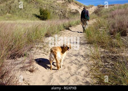 Hund und Mensch auf Spaziergang am Lake Michigan Dünen Stockfoto