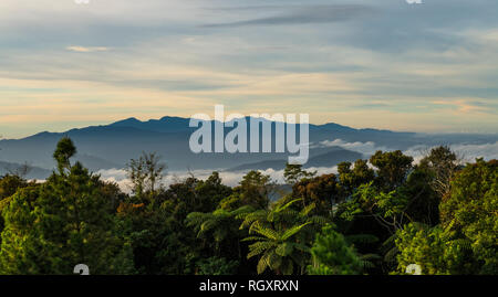 Morgendämmerung Silhouette des Mount Trusmadi am Horizont von Mesilau auf Mount Kinabalu, in Sabah, Borneo, Malaysia, mit Wald im Vordergrund. Stockfoto