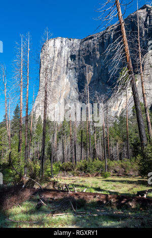 Yosemite 042816-17 El Capitan Stockfoto