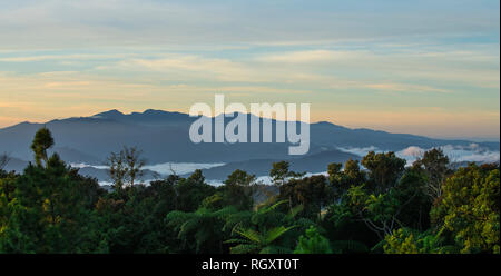 Morgendämmerung Silhouette des Mount Trusmadi am Horizont von Mesilau auf Mount Kinabalu, in Sabah, Borneo, Malaysia, mit Wald im Vordergrund. Stockfoto