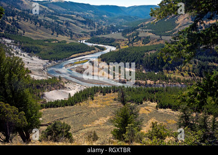 WY 03071-00 ... WYOMING - der Grand Canyon im Yellowstone River gesehen von Specimen Ridge im Yellowstone National Park. Stockfoto