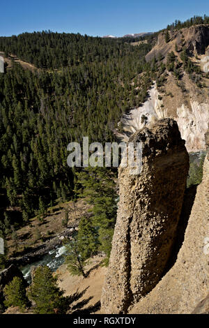 WYOMING - eine basaltische Spalte entlang des Canyon Wänden über den Yellowstone River aus dem Yellowstone River Picknickplatz Trail in Yellowstone Natl. Park. Stockfoto