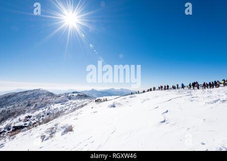 Winterlandschaft in Deogyusan Berg, Südkorea. Stockfoto