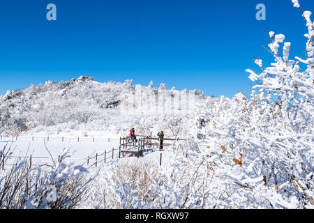 Menschen wandern auf Deogyusan berge und Schnee auf den Bäumen Stockfoto