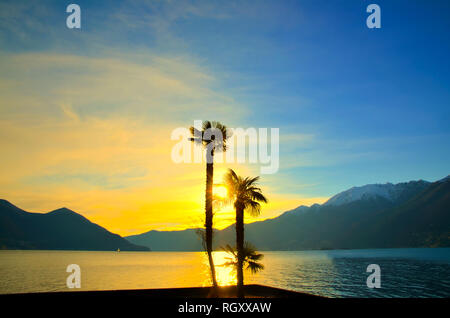 Sonnenuntergang über einem Alpinen See Maggiore mit Palmen und schneebedeckten Berg im Tessin, Schweiz. Stockfoto