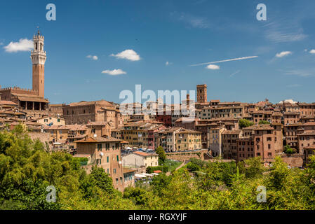 Blick auf Siena von Süden mit dem mangia Turm Stockfoto