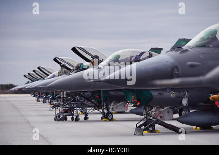 Flieger von der 180 Fighter Wing in Toledo Air National Guard Base, Ohio führen Sie Kontrollen vor dem Flug auf der F-16 Fighting Falcons, Januar 30, 2019, Patrick Air Force Base, Fla. Flieger von 180 FW auf Patrick AFB reisten verschiedene Übungen mit Ihrem Gerät durchführen. (U.S. Air Force Foto von Airman 1st Class Zoe Thacker) Stockfoto