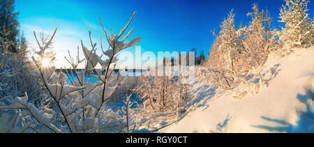 Verschneiten Wald auf einem hellen, sonnigen Tag. Winterlandschaft. Russland, Leningrad Region. Stockfoto