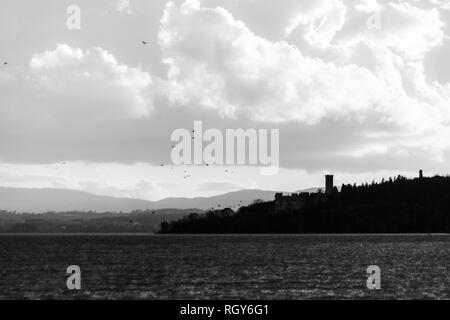 Vögel fliegen über den Trasimenischen See Stockfoto