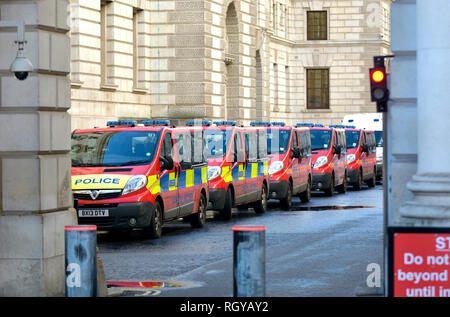 London, England, UK. Zeile der geparkten Polizei Transporter in King Charles Street, Westminster (neben der Downing Street) Stockfoto