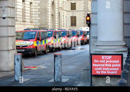 London, England, UK. Zeile der geparkten Polizei Transporter in King Charles Street, Westminster (neben der Downing Street) Stockfoto