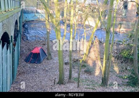 Eine obdachlose Personen Zelt in highgate Woods nördlich von London im Winter UK Stockfoto