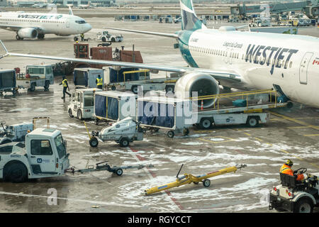 Gepäck entladen aus einem westjet Boeing 737 auf der Rollbahn am Pearson Flughafen in Toronto, Ontario. Stockfoto