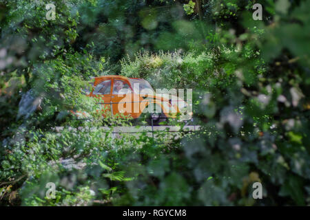 Doppelklicken Aufnahme von Citroen 2 CV fahren durch Delamere Forest, Cheshire, Großbritannien Stockfoto