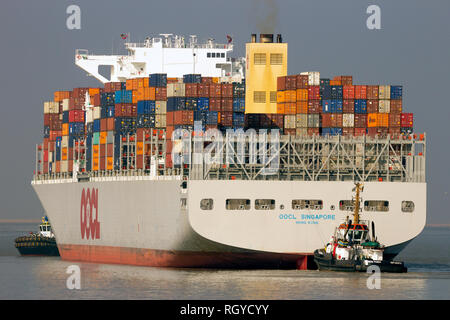 Antwerpen, Belgien - 12. März 2016: Containerschiff OOCL Singapur verlassen einen Container terminal im Hafen von Antwerpen. Stockfoto